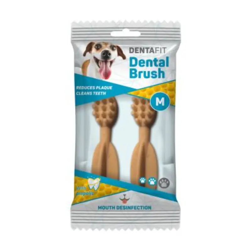 dentafit-dental-brush-chlorophyll-medium-2-temaxia-26gr Dentafit Οδοντικό Σνακ με Χλωροφύλλη 26gr 2τμχ - Image 1