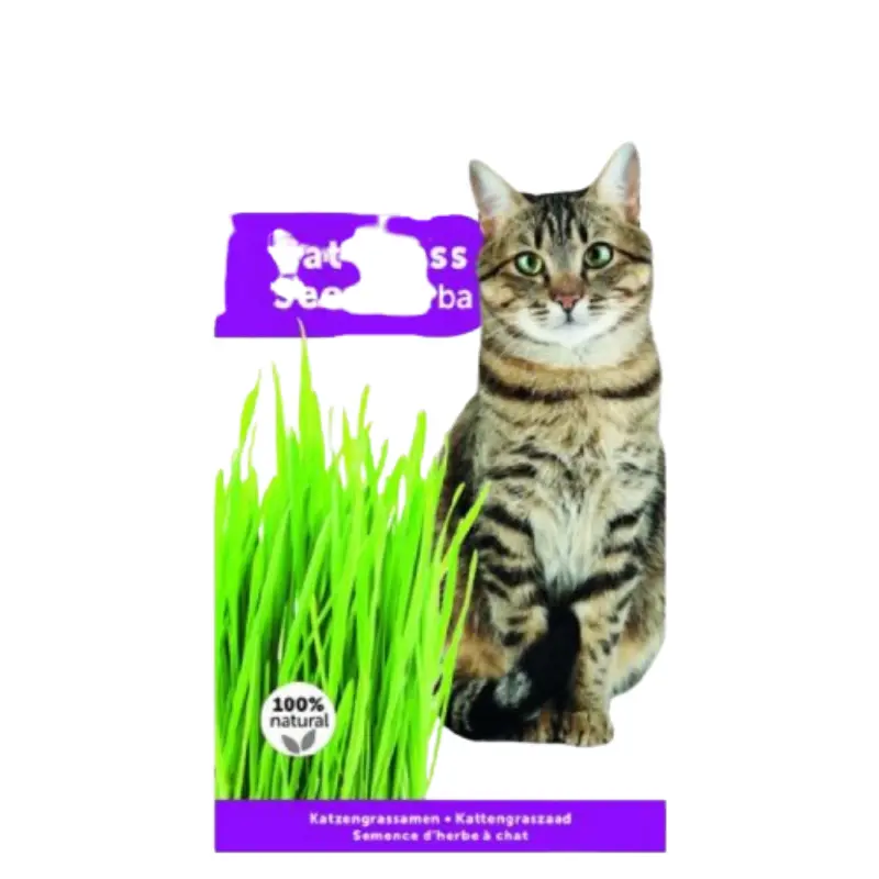 flamingo-pets-grasidi-gatas Γρασίδι Γάτας Flamingo Pets - Image 1