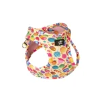 Glee Platinum Collection Σαμαράκι Τύπου Step In Candies XS 28-32cm